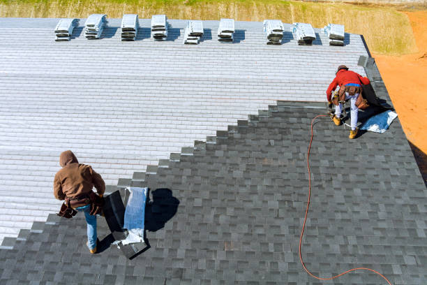 Best Roof Repair Services  in Loudonville, OH